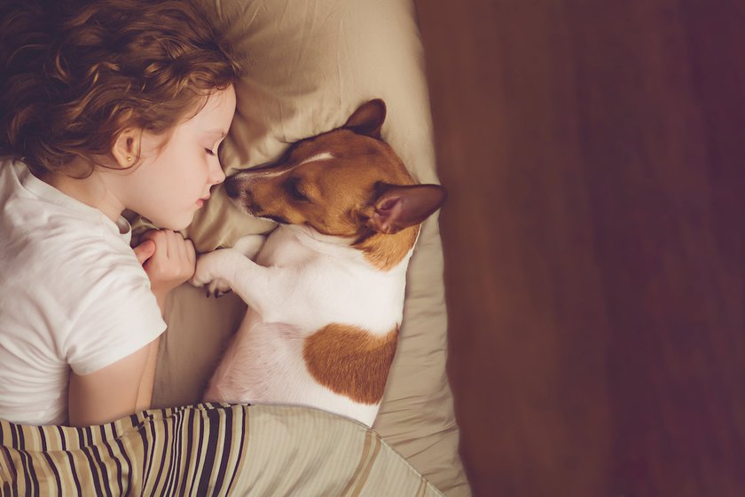 Mädchen mit Hund im Bett.