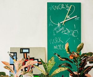 Gefährliche Zimmerpflanzen: Ist die Dieffenbachia giftig?