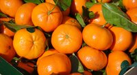 Mandarinen lagern: Mit diesen Tipps bleiben sie frisch