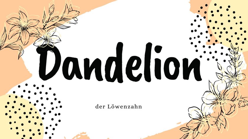Namen, die Blume bedeuten: Dandelion