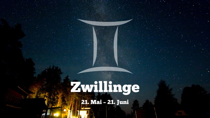 Zwillinge