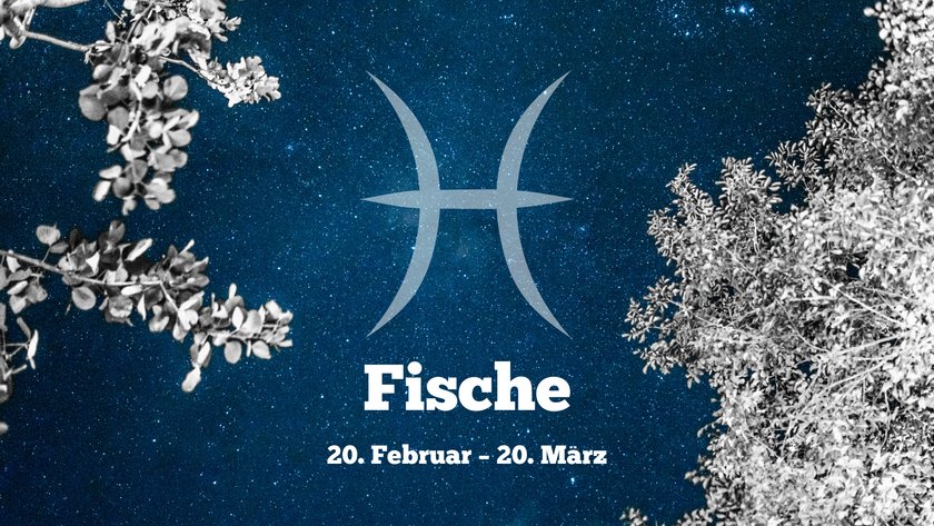 Fische