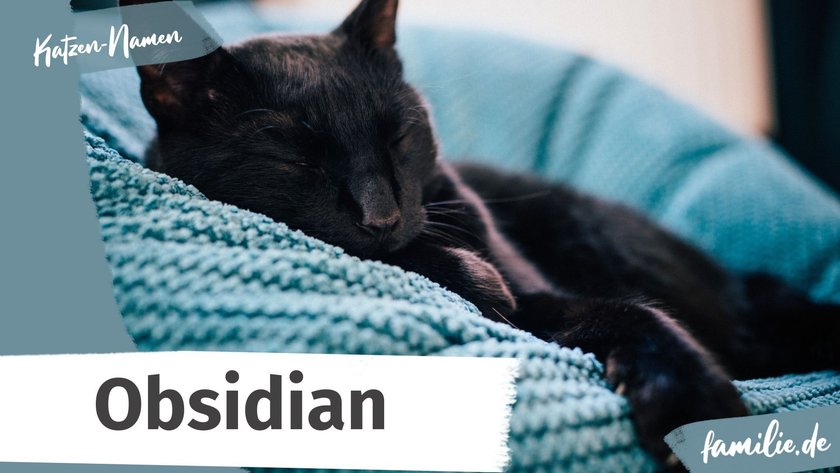 Schwarze Katze Namen: Obsidian