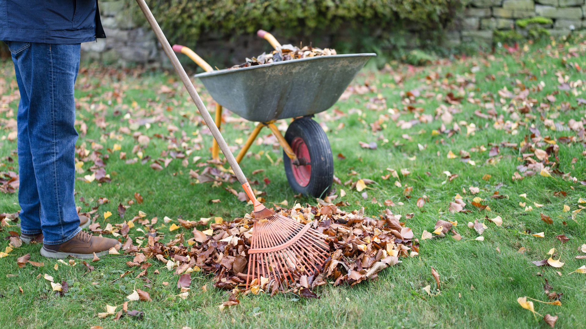 So bereitest du deinen Garten optimal auf den Winter vor