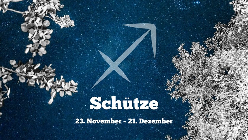 Schütze