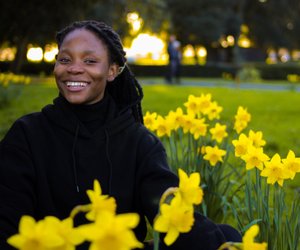 Wann blühen Narzissen? Das ist die Zeit der Blütenpracht