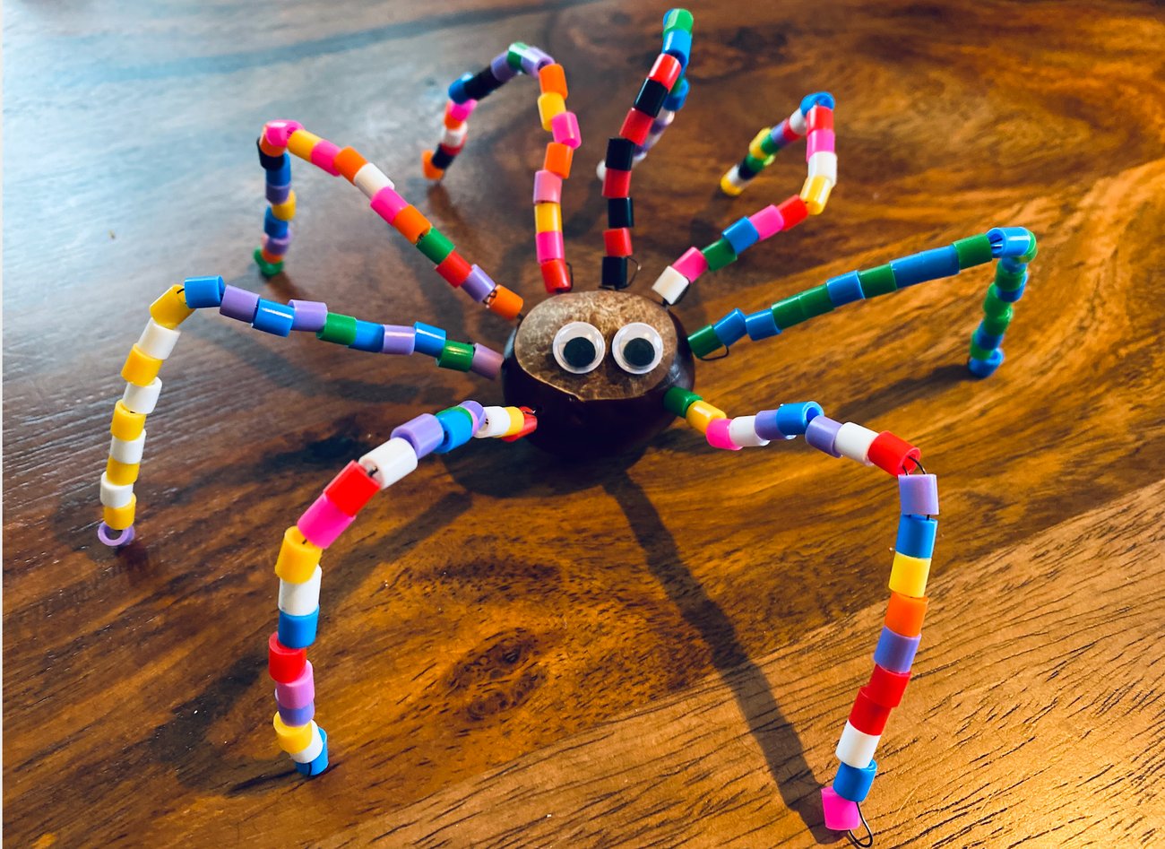 Wir basteln eine süße DIY Kastanien Spinne