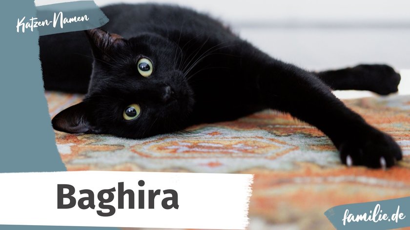 Schwarze Katze Namen: Baghira