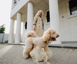 Psychologie: Was deine Haustier-Wahl über deine soziale Herkunft verrät