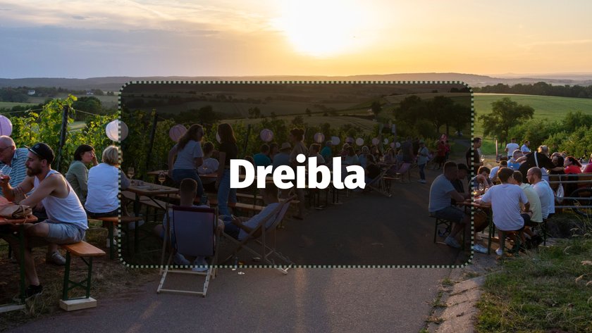 Dreibla