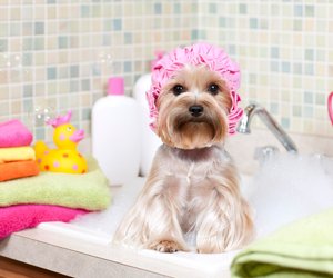 Harter Tag? Diese 11 Dinge sind wie Urlaub auf Knopfdruck