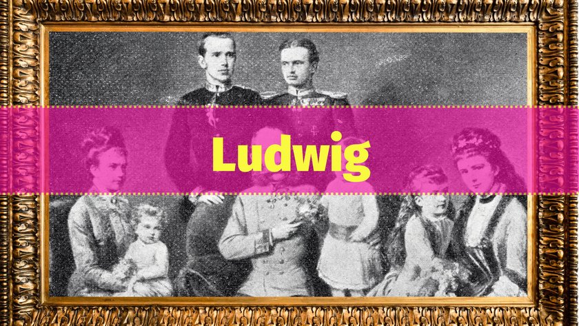 Ludwig