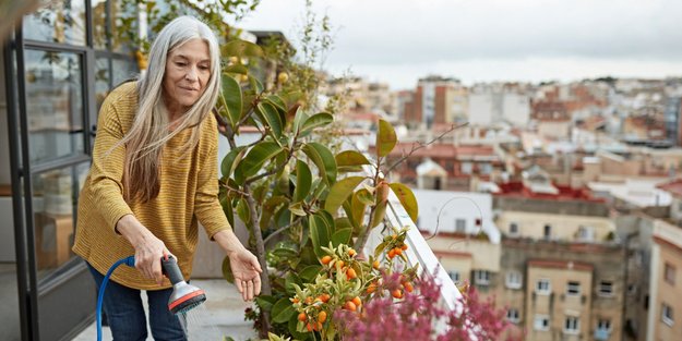 Kleine Fläche, große Ideen: Die besten Amazon-Produkte für Urban Gardening