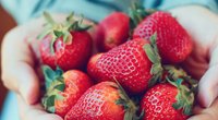 Gesundes und leckeres Superfood: 5 Gründe, warum wir alle mehr Erdbeeren essen sollten