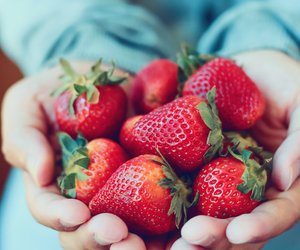 Superfood Erdbeere: 5 Gründe, warum sie so gut für uns sind