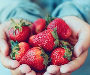 Superfood Erdbeere: 5 Gründe, warum sie so gut für uns sind
