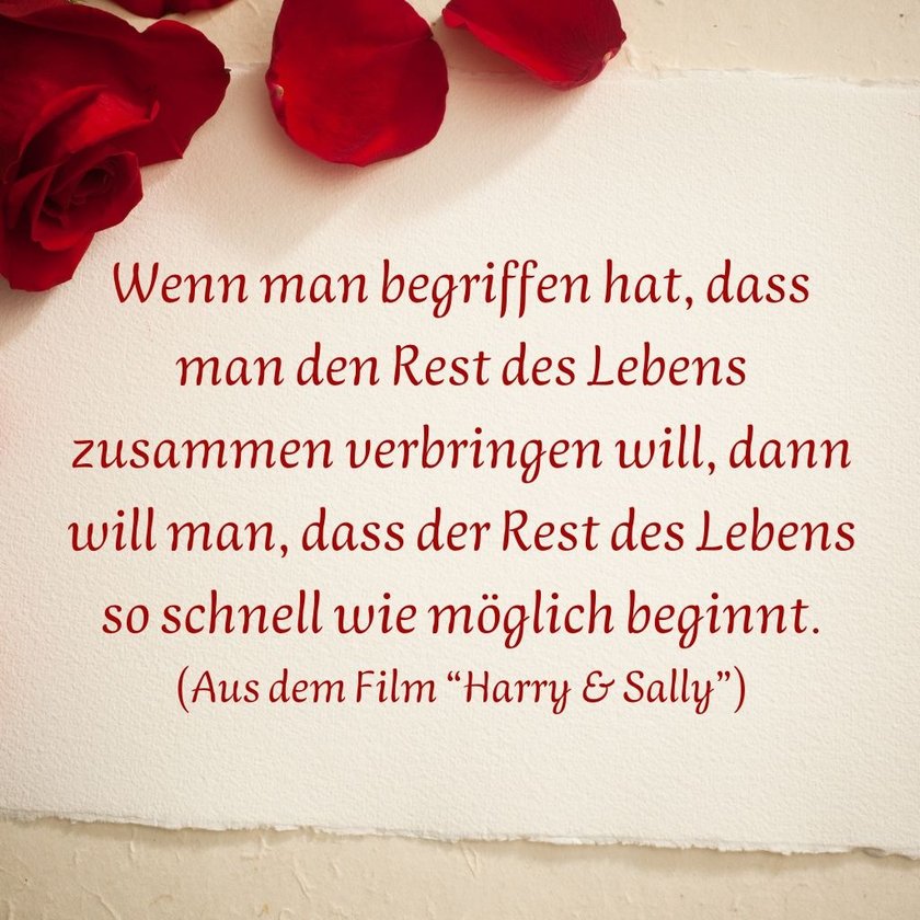 Liebeszitate aus dem Film “Harry & Sally”: Wenn man begriffen hat, dass man den Rest des Lebens zusammen verbringen will, dann will man, dass der Rest des Lebens so schnell wie möglich beginnt.