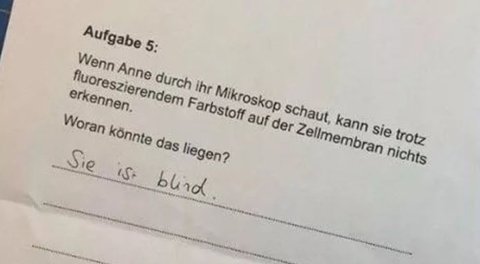 Lustige Schulerantworten Von Ulkig Bis Komisch Familie De