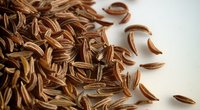 Kümmel und Schwangerschaft: Darf man das Gewürz essen?