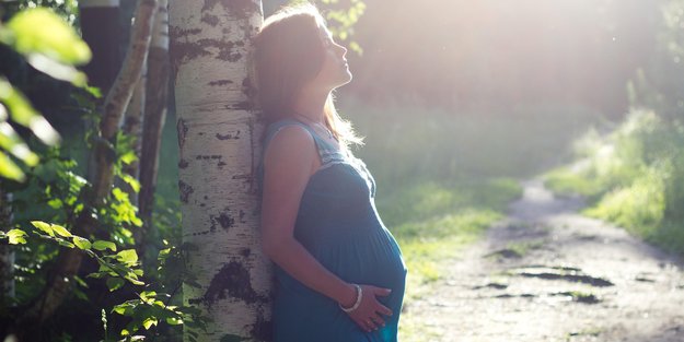Pferdesalbe in der Schwangerschaft: Ist die Anwendung sicher?