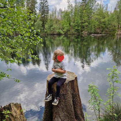 Harz mit Kindern: Es gibt auf dem Naturmythenweg sehr viele schöne Orte.
