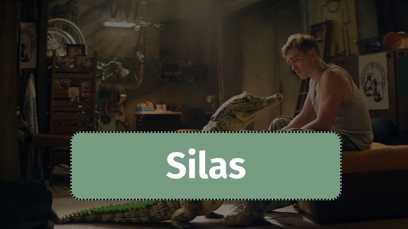 Schule der magischen Tiere Namen Silas