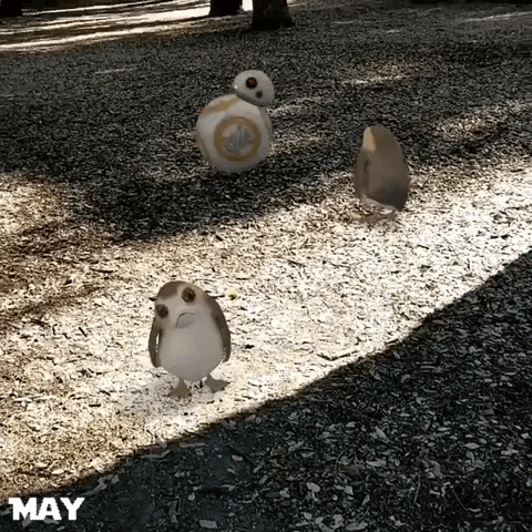 Star Wars Day Star Wars Day