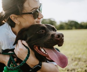 Dürfen Hunde Salzstangen essen?