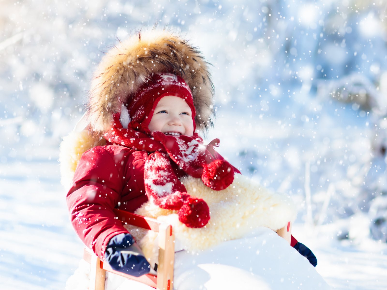 Winterzauber für die Kleinsten: Die besten Baby-Schlitten
