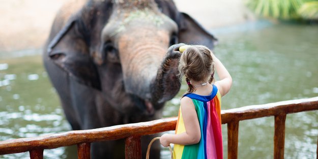 Das sind die 5 besten deutschen Zoos für Familien