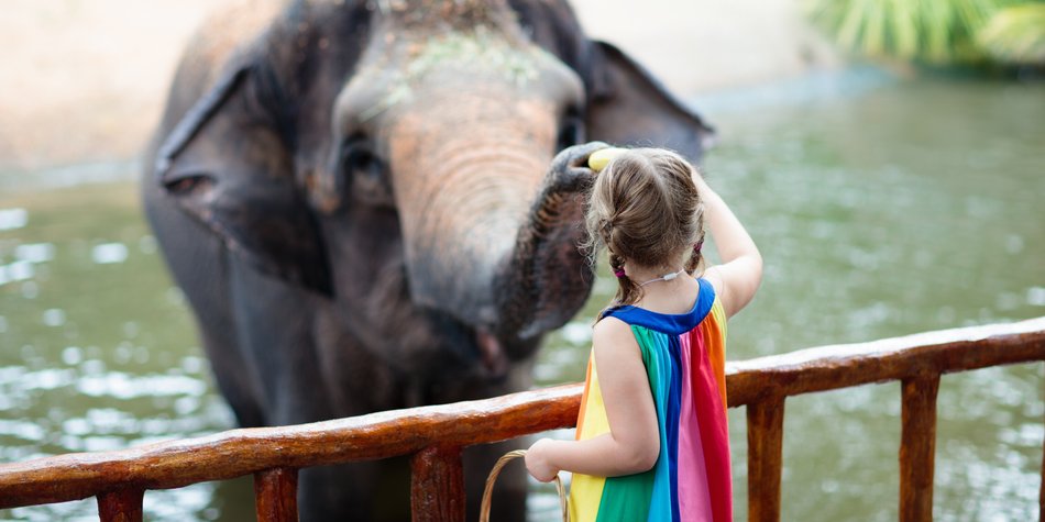 Familienfreundlich: Die 5 besten Zoos für Kinder in ganz Deutschland