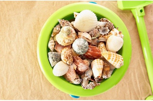 Baby im Sommer: Spielen am Strand mit Muscheln