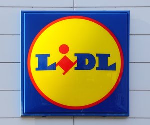 Praktischer Komfort für die Werkstatt: DIY-Fans schnappen sich den Rollsitz von Lidl