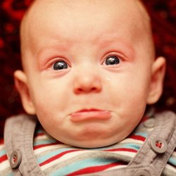 Trend&#x2011;Down&#x20;2025&#x3A;&#x20;Warum&#x20;Klassiker&#x20;wie&#x20;Jan&#x20;heute&#x20;nicht&#x20;mehr&#x20;so&#x20;gefragt&#x20;sind