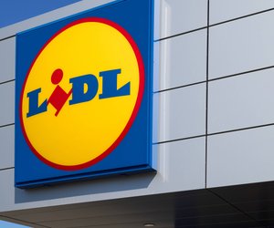 Magische Deko fürs Fenster: Mit dem weihnachtlichen Zauberwald von Lidl