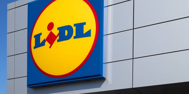 Magische Festtagsdeko: Der weihnachtliche Zauberwald für dein Fenster von Lidl