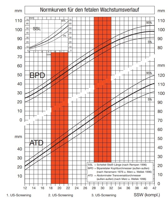 Schwangerschaft tabelle ku fod Wer hat