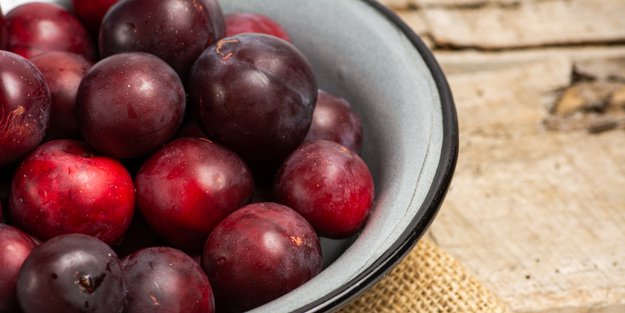 Pflaumen in der Schwangerschaft: So gesund ist das Obst