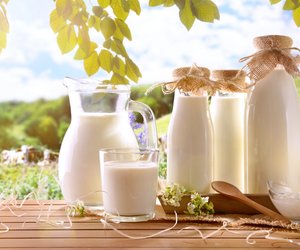 Bio-Milch im Test: Diese Bio-Marken könnten laut Ökotest zu gesundheitlichen Problemen führen