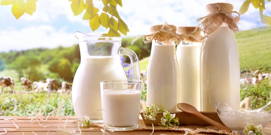 Bio-Milch im Test: Diese Bio-Marken könnten laut Ökotest zu gesundheitlichen Problemen führen