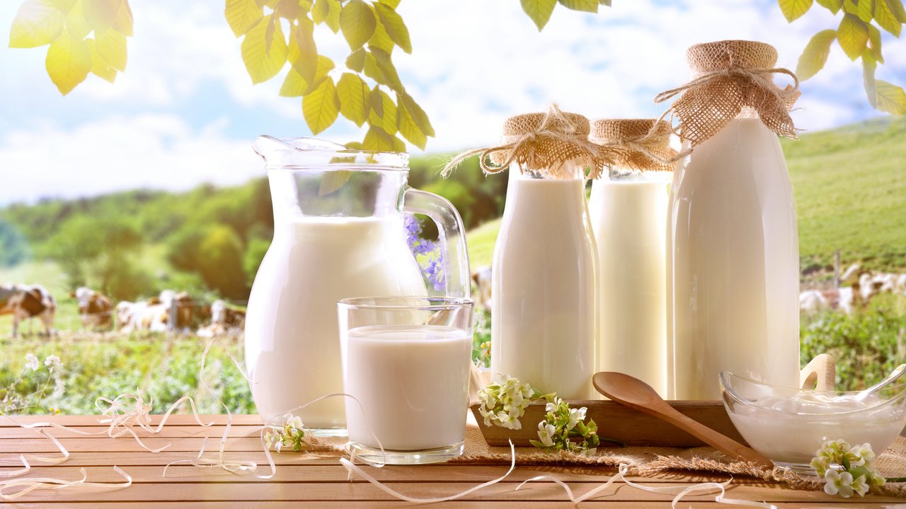Bio Milch Marken Ökotest Vergleich Test