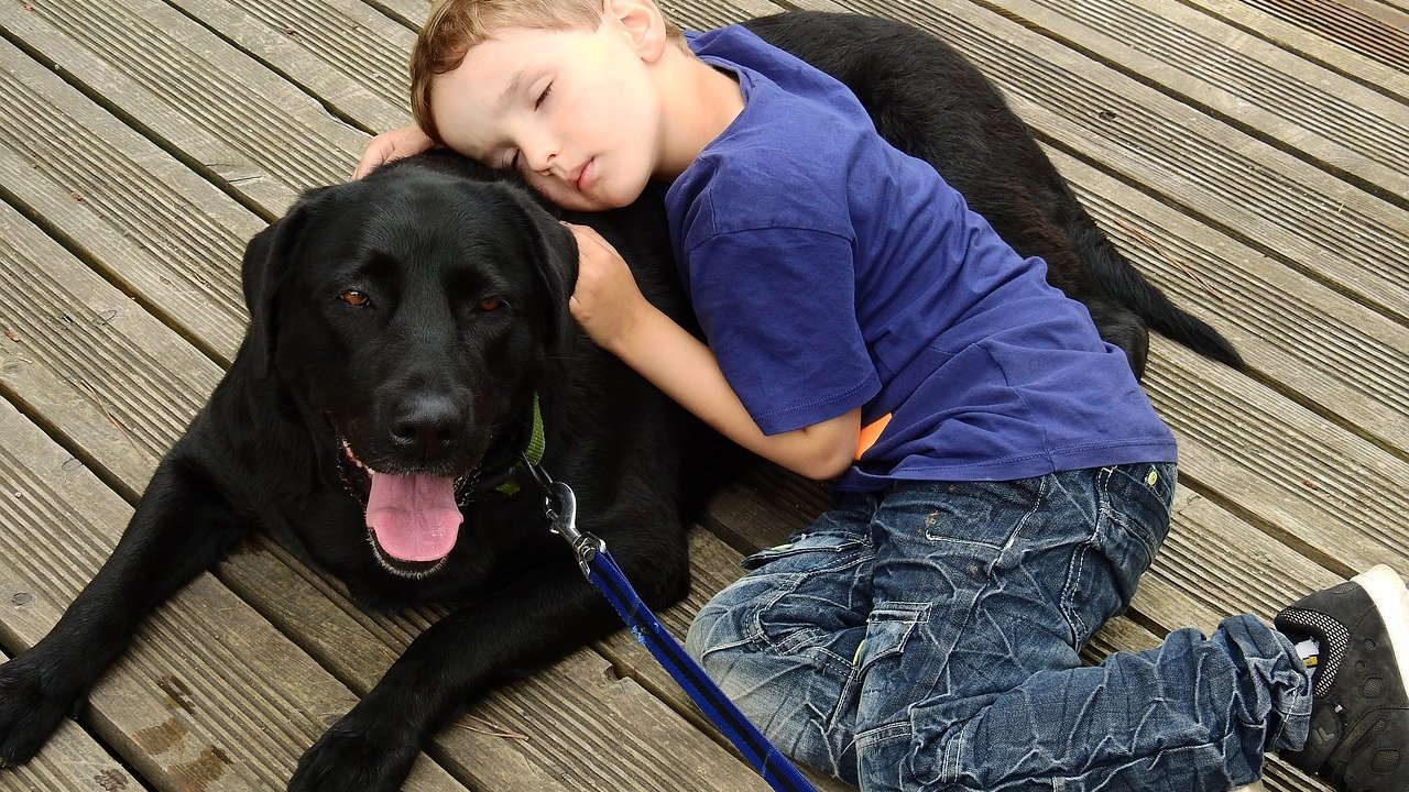Labradore stellen durch ihre Gutherzigkeit und Intelligenz ideale Familienhunde dar.