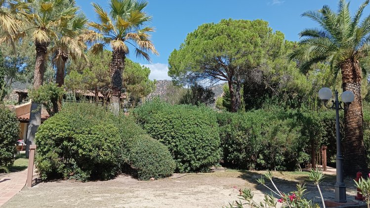 Grüne Wege im Forte Village