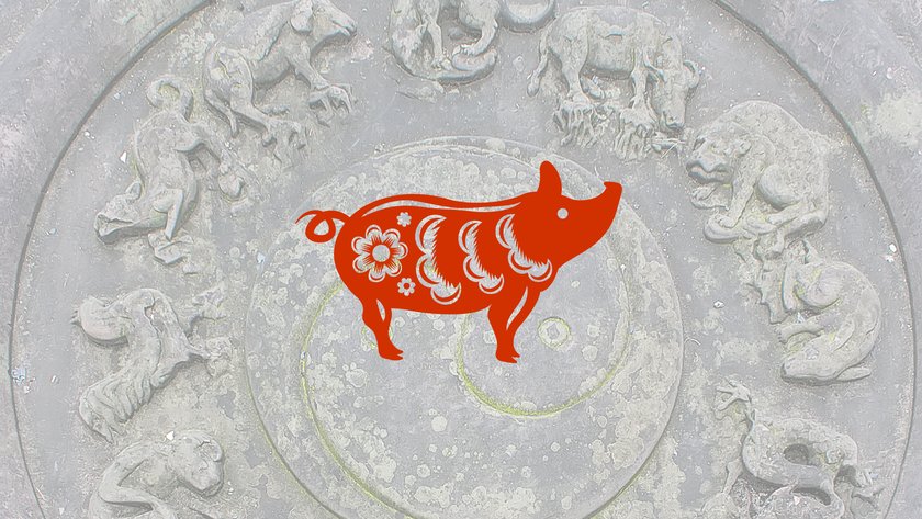 Schwein