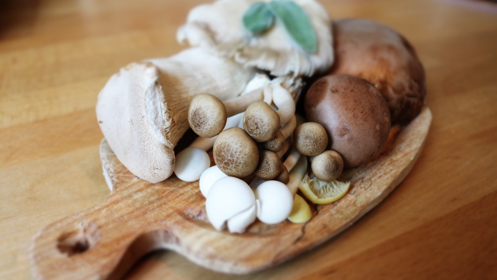 Omas Tipp So friert ihr Pilze richtig ein