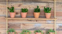 Dieses einfache DIY-Hängeregal íst dein Handwerker-Highlight diesen Sommer