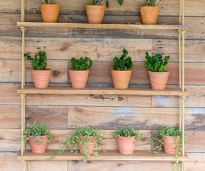 So kreiert ihr ein DIY-Pflanzenregal für Balkon und Terrasse