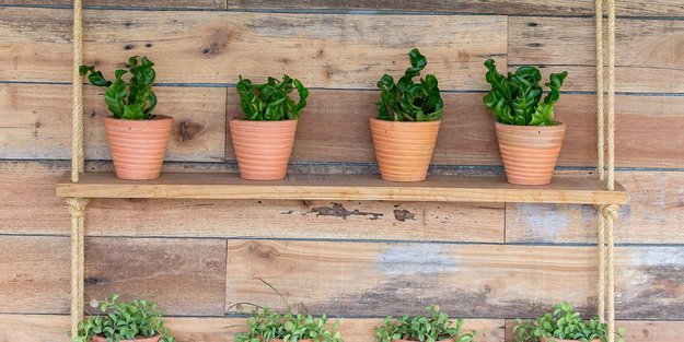 So kreiert ihr ein DIY-Pflanzenregal für Balkon und Terrasse