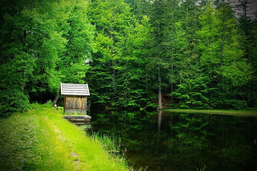 Eine See im Wald mit einer kleinen Hütte