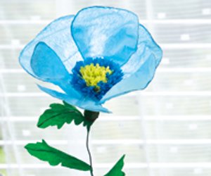Anleitung: Blume aus Krepp-Papier basteln